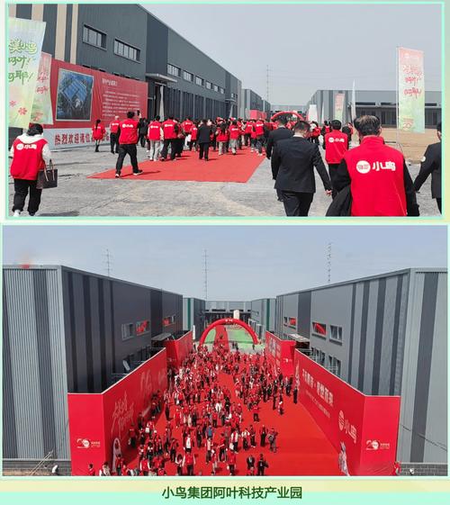 小鸟二十周年庆典暨商丘阿叶新工厂落成典礼礼仪服务方案